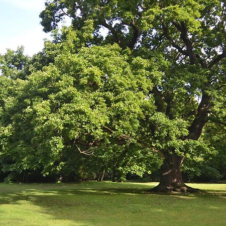 Gilwell Park Chingford Exterior foto