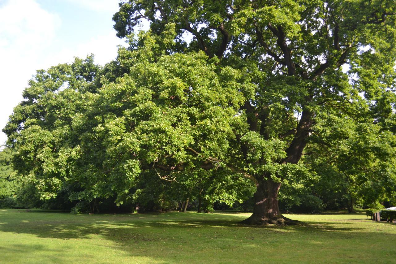 Gilwell Park Chingford Exterior foto