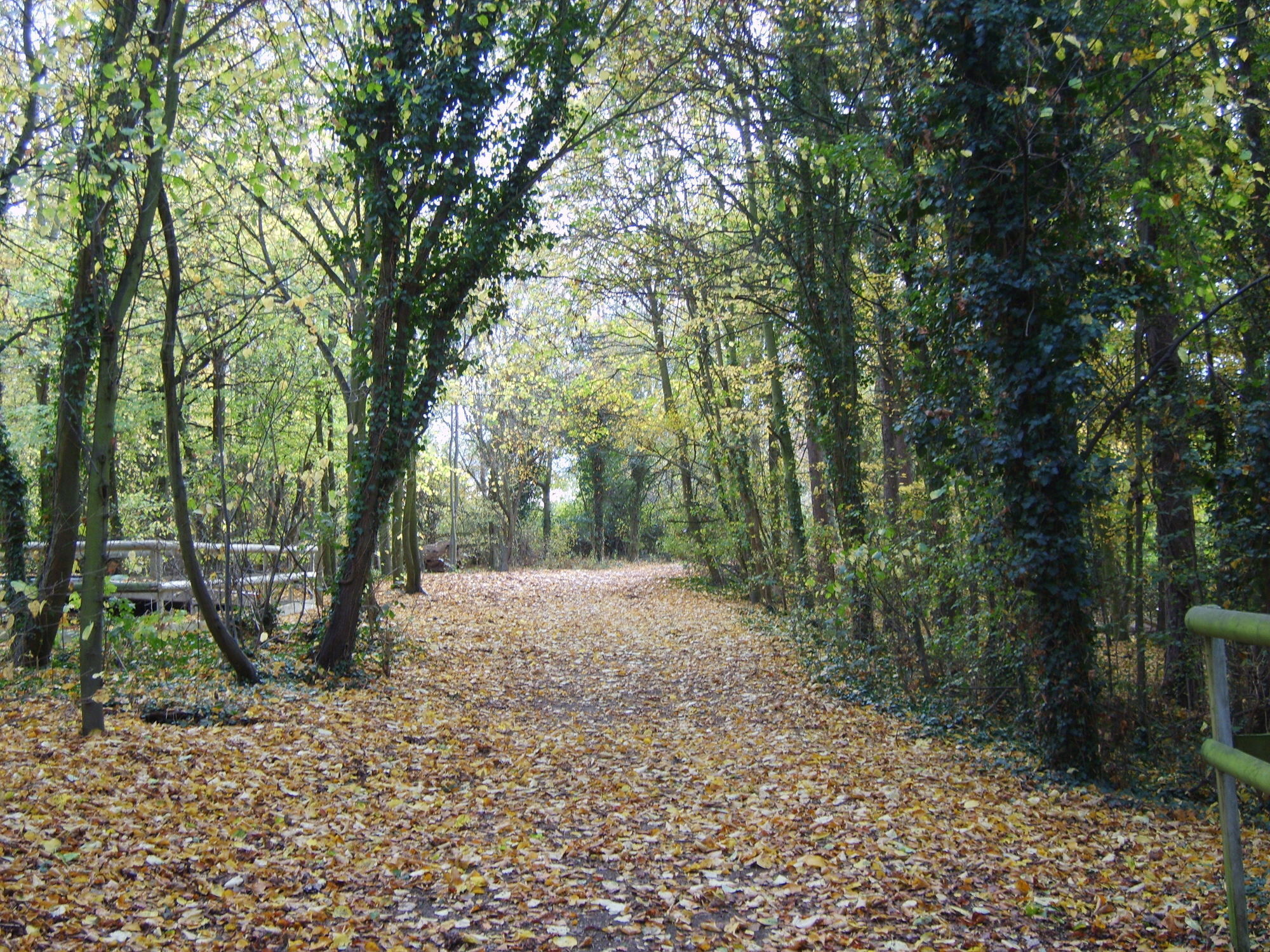 Gilwell Park Chingford Exterior foto