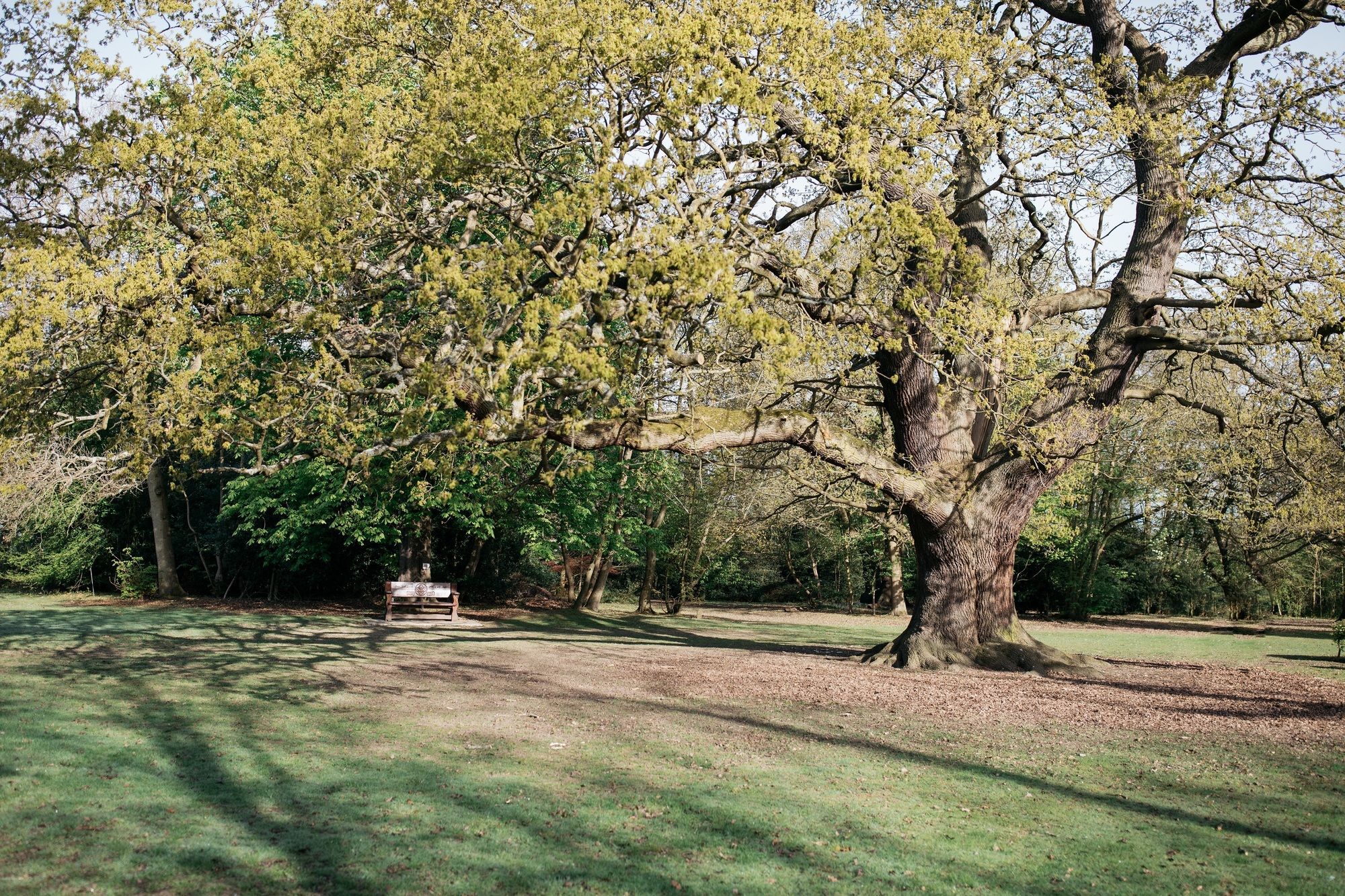 Gilwell Park Chingford Exterior foto